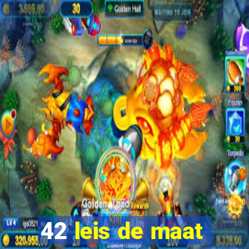 42 leis de maat